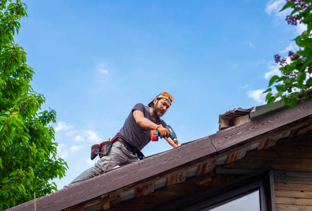 Best Gutter Installation and Repair  in Bort, GA