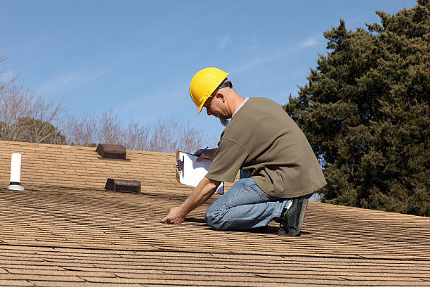 Best Roof Moss and Algae Removal  in Bort, GA