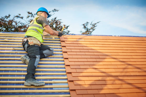 Best Roof Insulation Installation  in Bort, GA